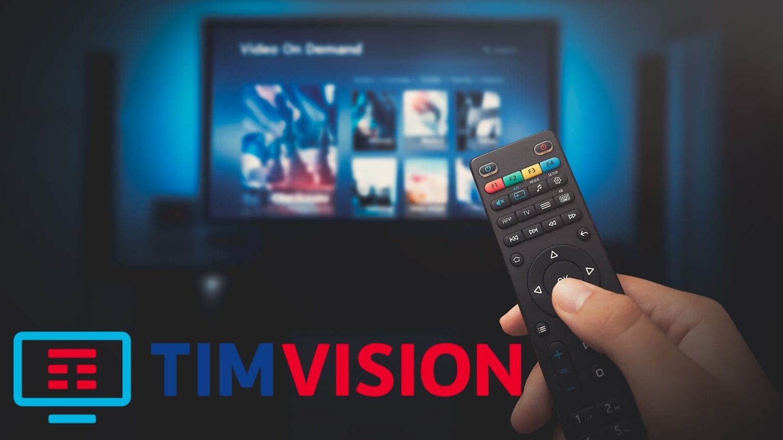 TIMVision