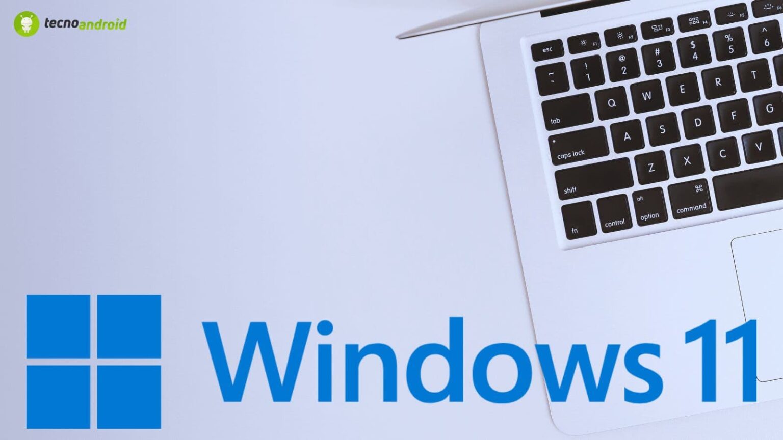 windows