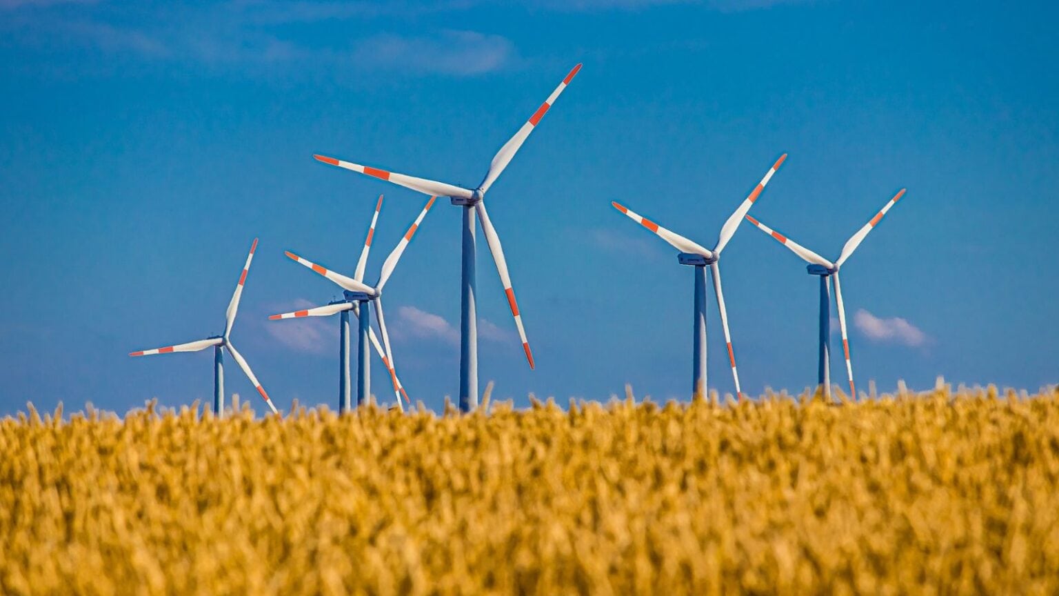 Fonti rinnovabili il 2024 un anno importante
