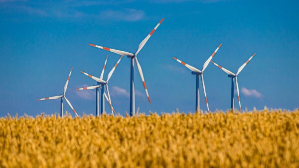Fonti rinnovabili il 2024 un anno importante