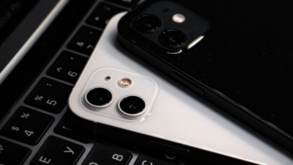 Apple, calo delle vendite