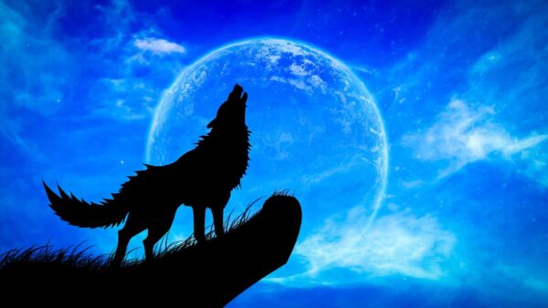 Il 13 gennaio 2025 la Luna piena, chiamata Luna del Lupo, ci regalerà uno spettacolo evocativo ricco di tradizioni e significati.