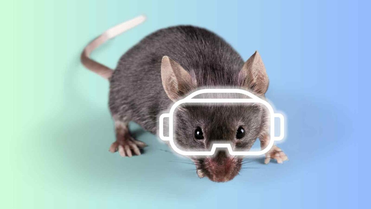 Mousegoggles è un dispositivo VR per topi che apre nuove possibilità nella ricerca neurologica e sul comportamento animale.