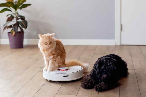 Dal termostato ai robot: come funzionano gli Agenti AI