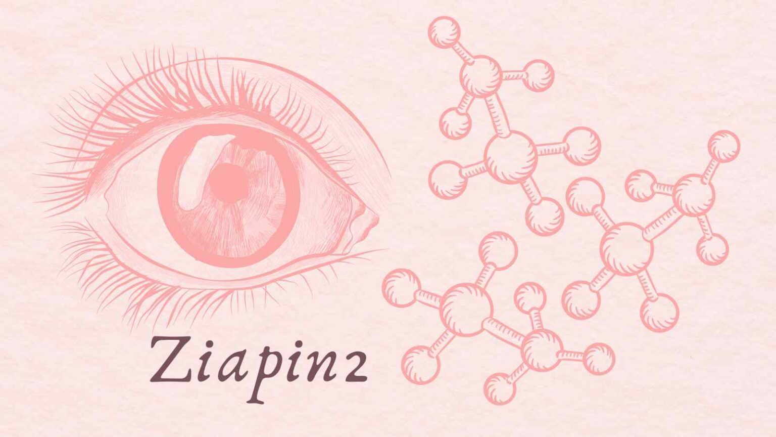 Ziapin2 è una molecola innovativa che potrebbe rivoluzionare il trattamento delle malattie degenerative della retina, recuperando la vista.