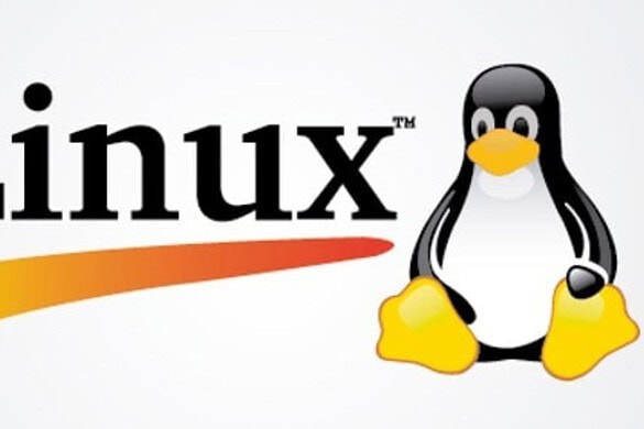 Uno studente trasforma un PDF in un emulatore Linux: il progetto che sfida ogni limite
