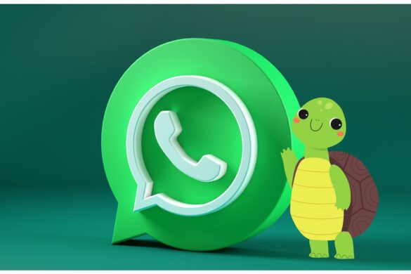 WhatsApp cambia volto con la “modalità tartaruga”