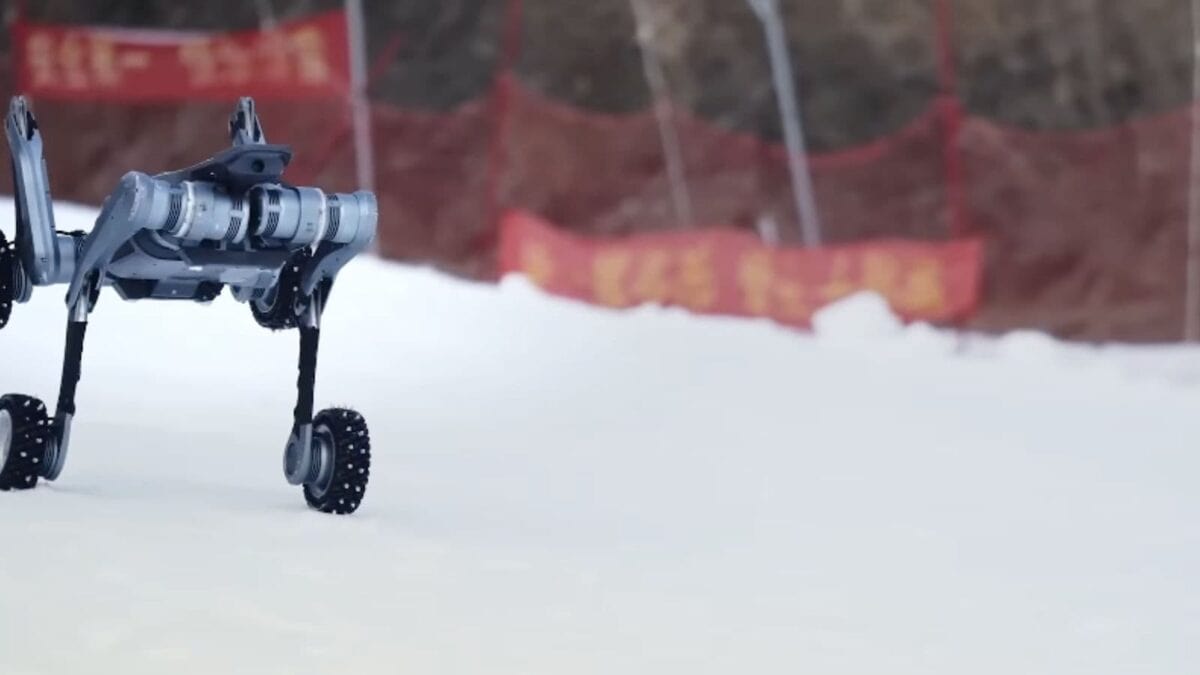 Lynx Deep Robotics 2