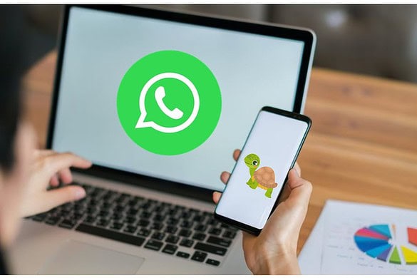 WhatsApp e la modalità Tartaruga: una bufala che ha conquistato il web