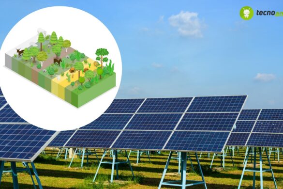 Sistemi solari: nuovo intervento per il fotovoltaico