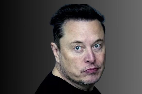 Elon Musk: dubbi per il suo portale del DOGE