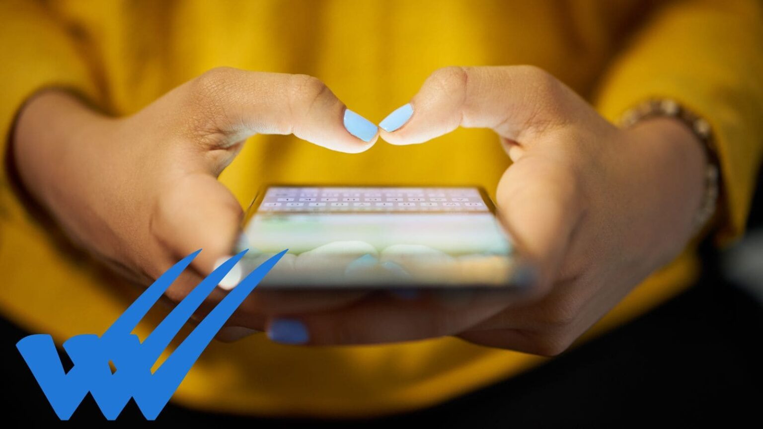 In arrivo la terza spunta blu su WhatsApp