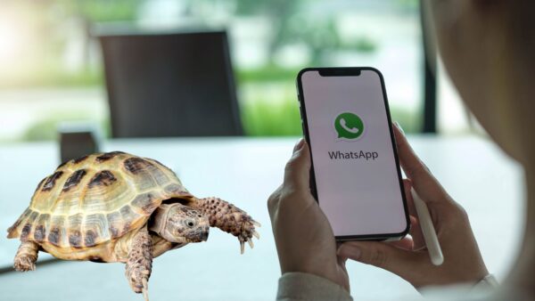 Modalità tartaruga di WhatsApp