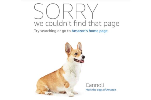 Uffici dog-friendly: ecco come Amazon coccola dipendenti e cani