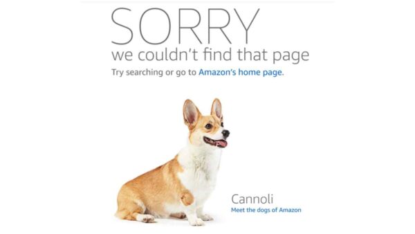 Amazon accoglie migliaia di cani nei suoi uffici con spazi dedicati, badge e snack, creando un ambiente di lavoro più sereno e inclusivo.