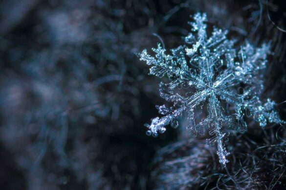 Il cambiamento climatico e le ondate di freddo estremo in Cina