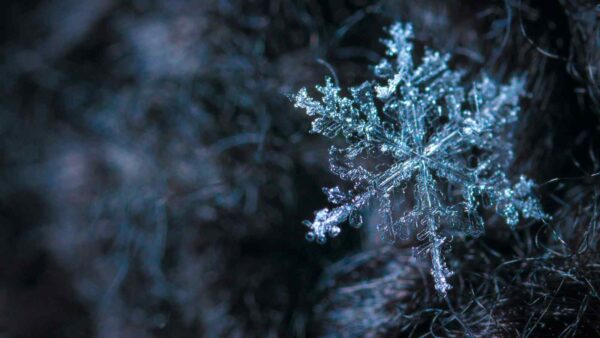 Il riscaldamento globale rende il clima più instabile, causando ondate di freddo anomalo, come quella del dicembre 2023 in Cina.