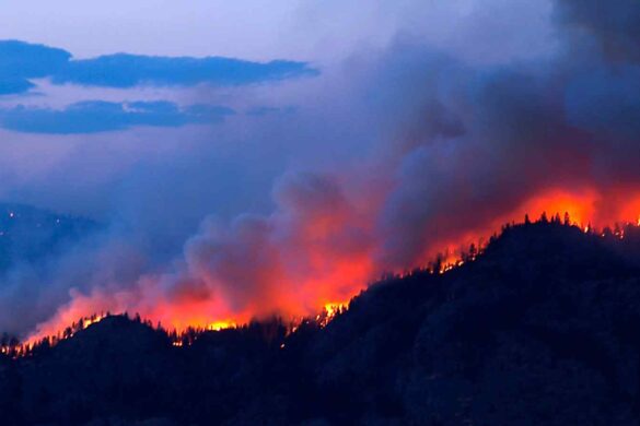 Gli incendi californiani e il loro impatto su ambiente e salute