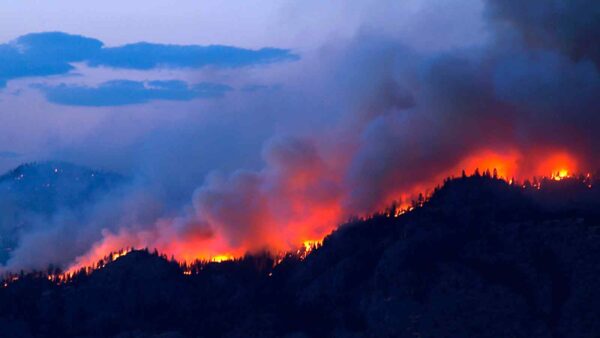 Gli incendi in California sono alimentati dal cambiamento climatico, vegetazione in eccesso e infrastrutture elettriche mal gestite.