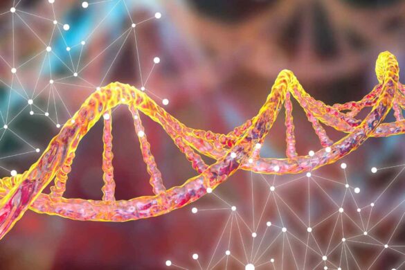 Riparazione del DNA: la NER svelata dal supercomputer Summit