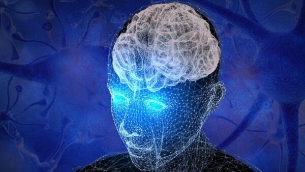 Il cervello naviga con casualità: nuova scoperta sulle "cellule di posizione"