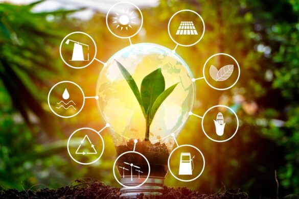 Nuove opportunità per le energie rinnovabili in Italia: il Decreto FER-T