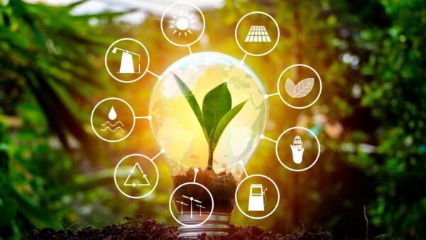 Nuove opportunità per le energie rinnovabili in Italia: il Decreto FER-T