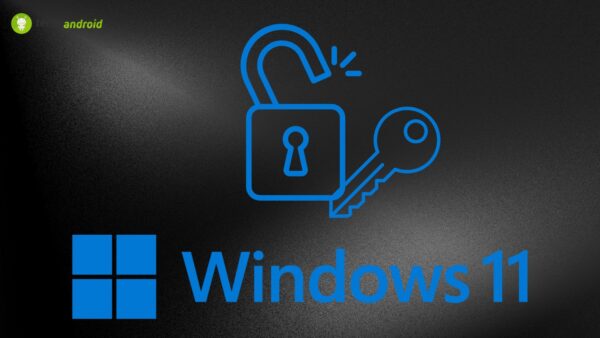 windows