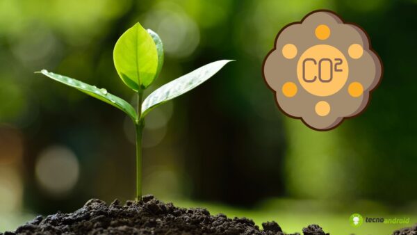 carbonio