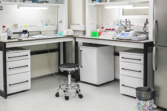 Arriva la prima intelligenza biologica sintetica