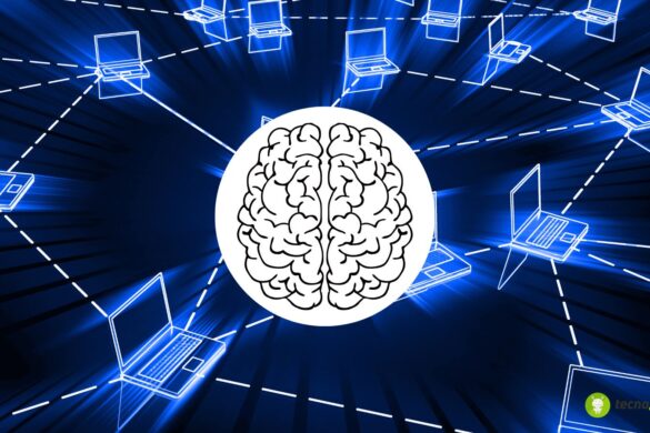 Computer con cellule celebrali: è davvero possibile?