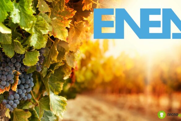 ENEA: nuovo progetto per la produzione di biochar