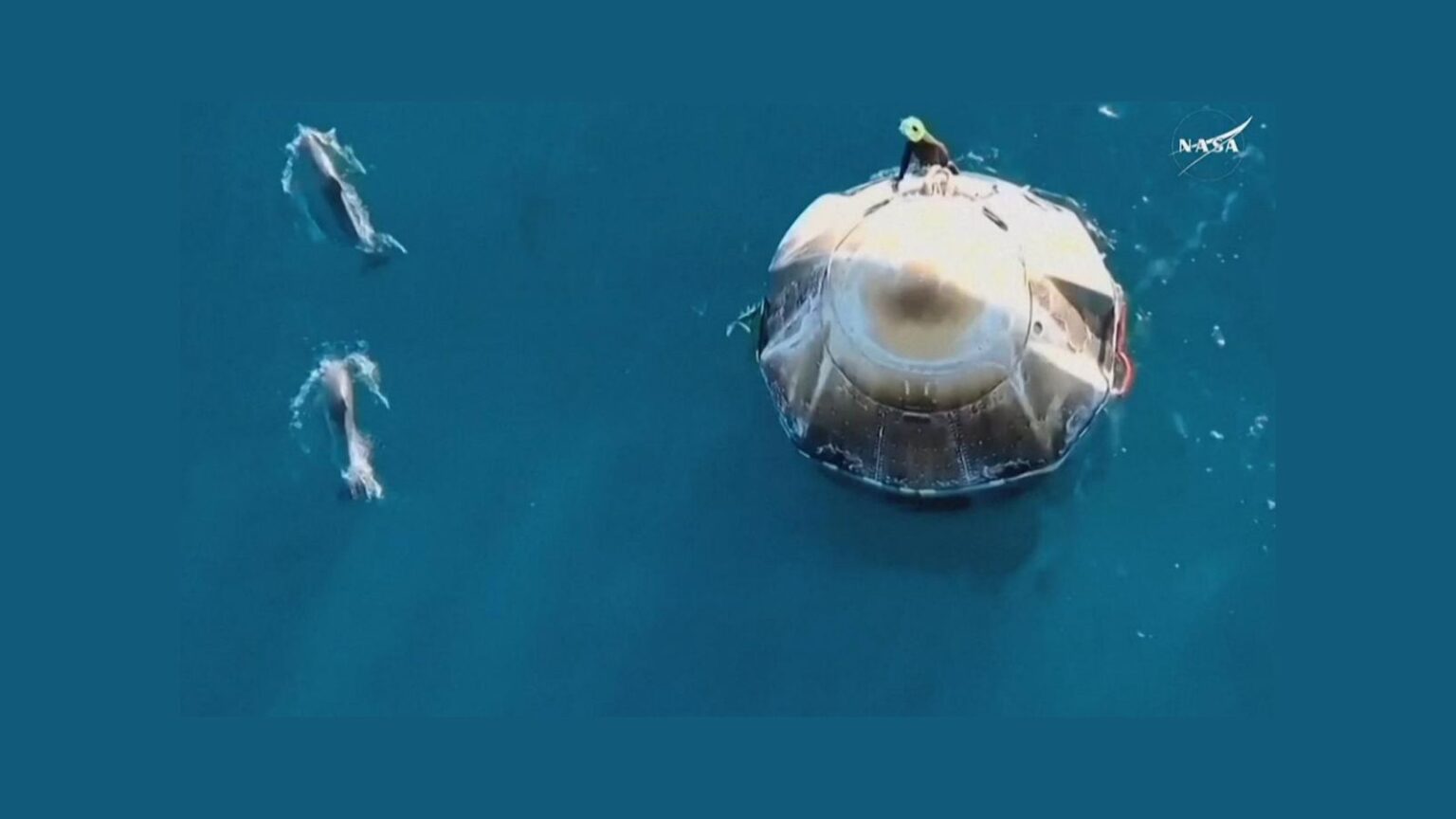 spacex