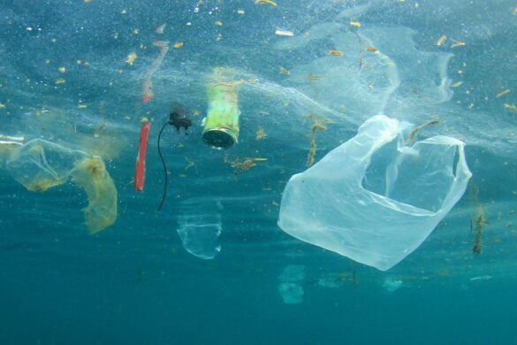 Rifiuti in plastica sempre più diffusi nel Mar Mediterraneo