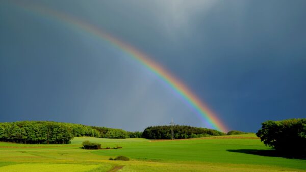 Meteo, nuove scoperte grazie all' AI