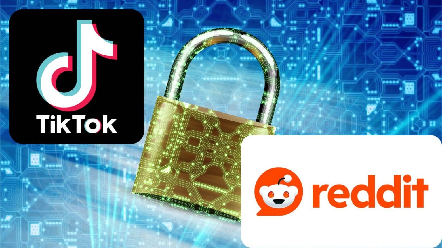 TikTok e Reddit, problemi per la sicurezza