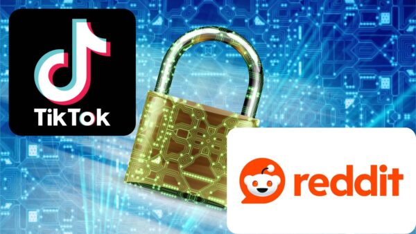 TikTok e Reddit, problemi per la sicurezza