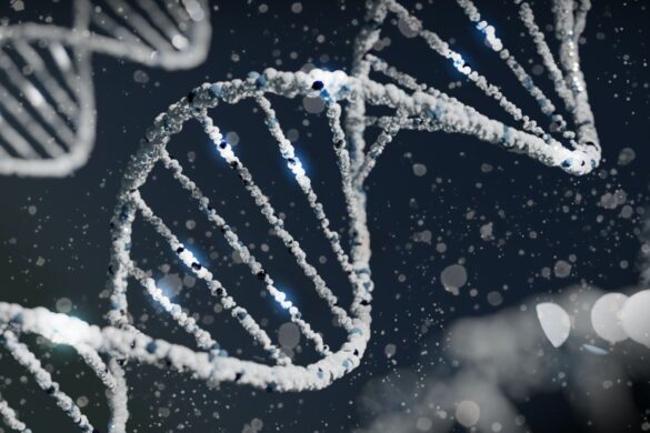IA, velocizza il tempo per il recupero dati dal DNA