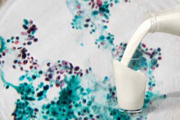 Gli scarti caseari diventano risorsa inaspettata grazie al lievito