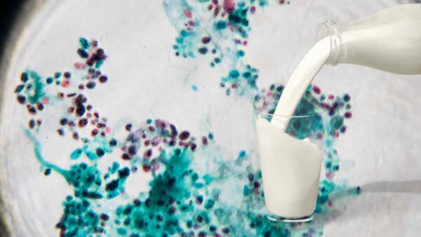 Scienziati scoprono che il lievito può trasformare il lattosio degli scarti caseari in oli sostenibili, aprendo nuove possibilità ecologiche.