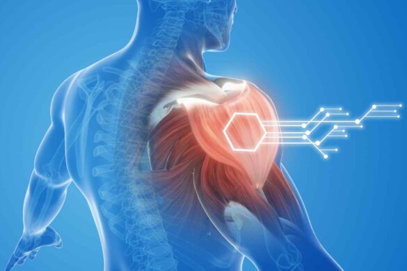 Robot bioibridi: come l’allenamento sta cambiando la robotica