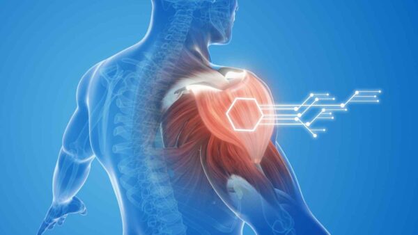 La Cina sviluppa muscoli artificiali per robot che migliorano forza e movimento con stimolazione elettrica e resistenza meccanica.