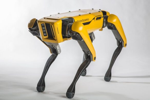 Robotica, molle e cavi consentono di imitare l’andatura canina