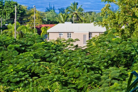Bonus Verde confermato: detrazioni per giardini e terrazzi fino al 31 dicembre 2024