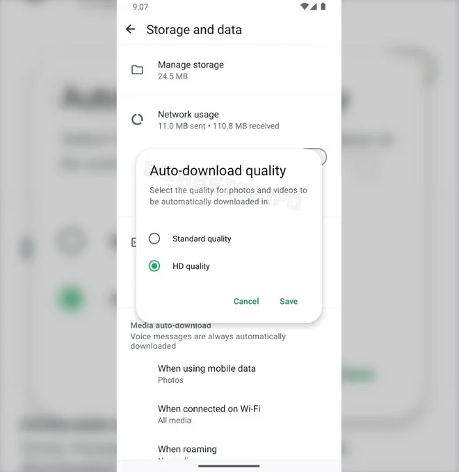 WhatsApp scelta qualità download automatico file multimediali WhatsApp scelta qualità download automatico file multimediali