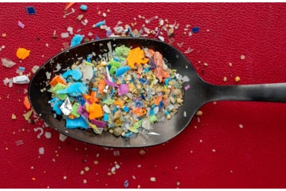 Microplastiche nel suolo: un rischio sempre più alto per l’ambiente e la salute