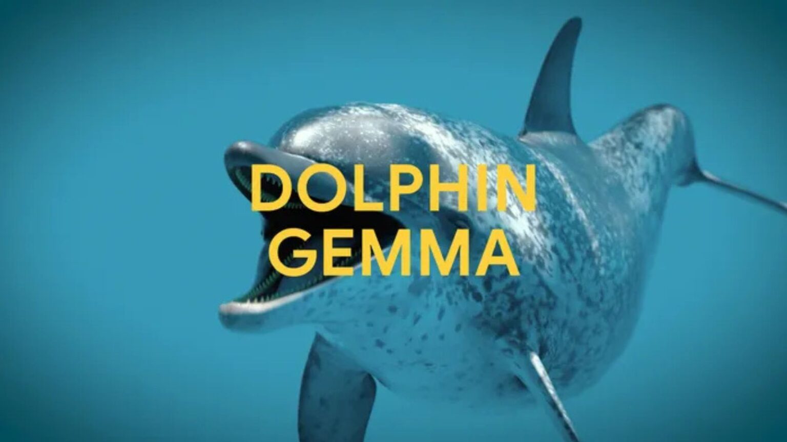 DolphinGemma