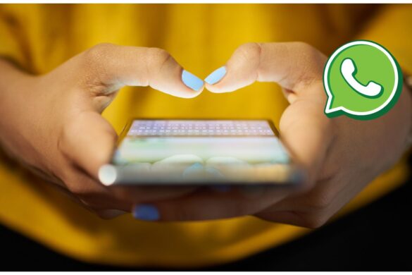 Novità WhatsApp: arriva in Italia la chat ufficiale della piattaforma
