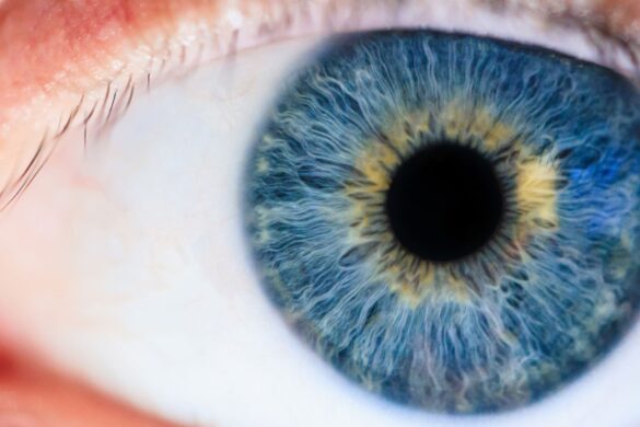 Retina: prevenzione e diagnosi precoce con le nuove tecnologie