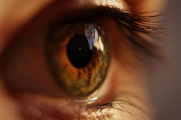 Impianto artificiale per restituire la vista a chi soffre di degenerazione maculare